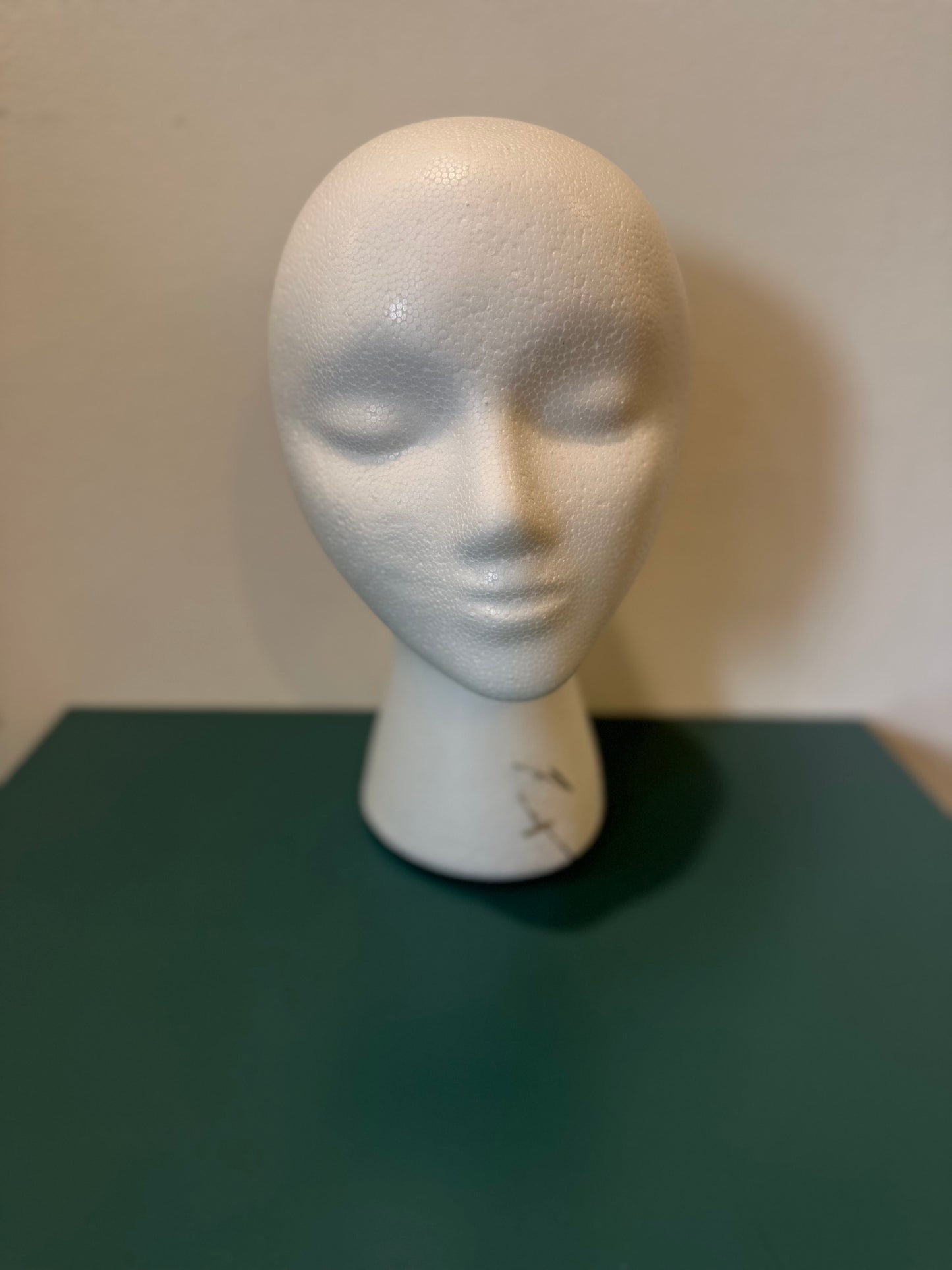 Styrofoam Styling Head